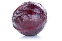 White and red cabbage vegetable isolated on a white background