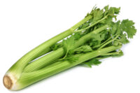 Fresh green celery wegetable on white background